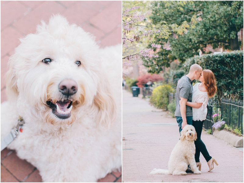 PattengalePhotography WashingtonDC LogansCircle BlagdenAlley CherryBlossoms FDR EngagementSession Co 2