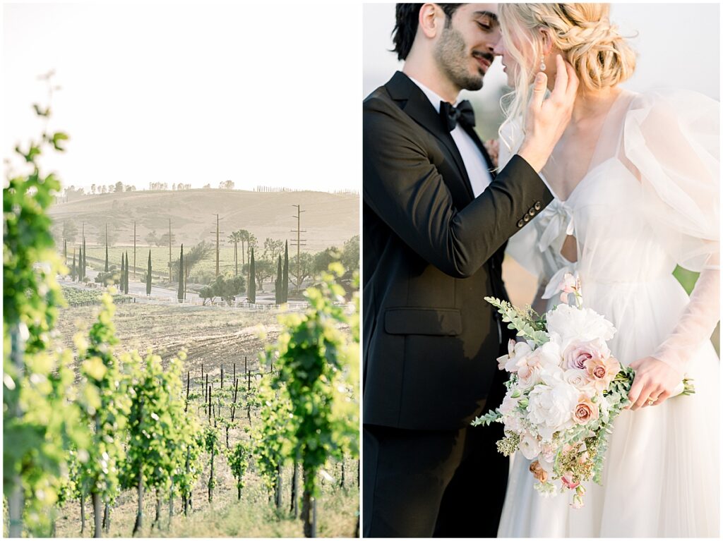 Sunset Portraits at an Avensole Winery romantic wedding reception