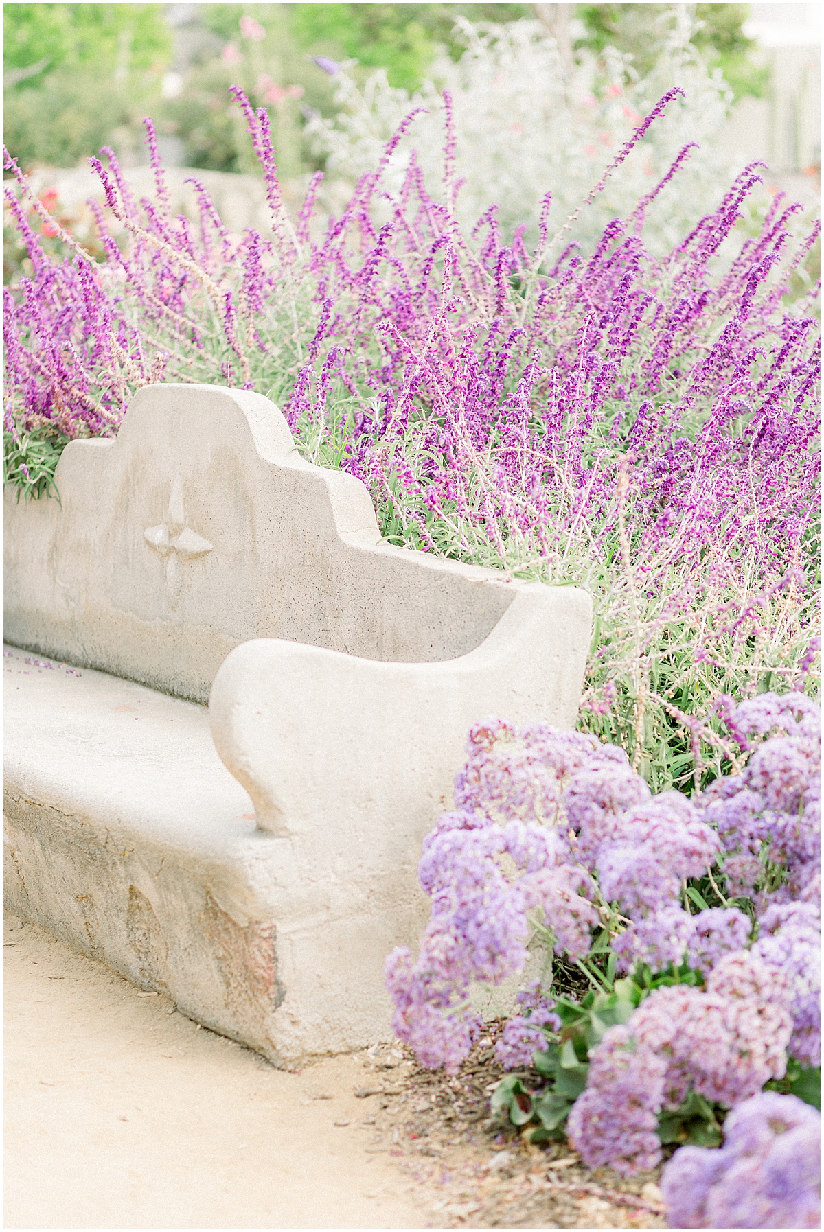 Garden engagement session in Southern California