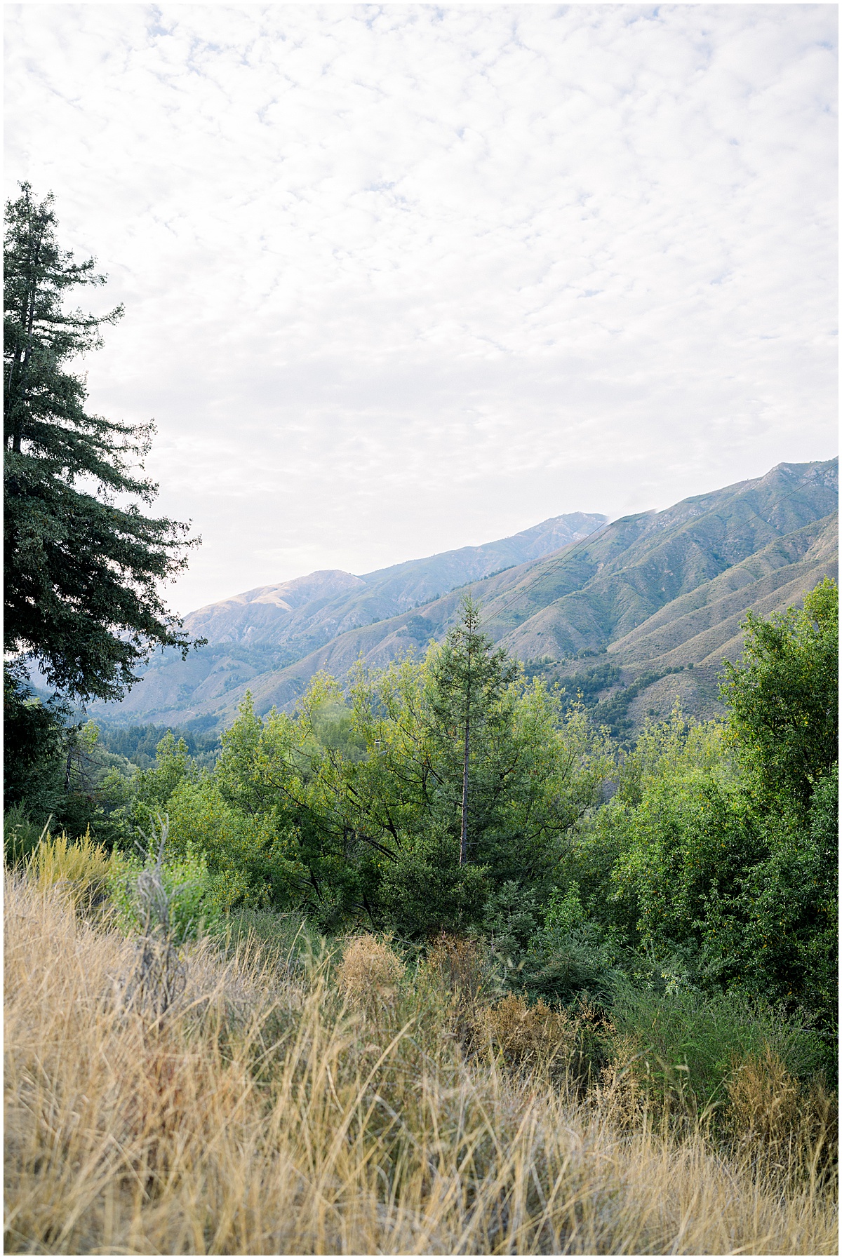 Big Sur Wedding & Engagement Photographer