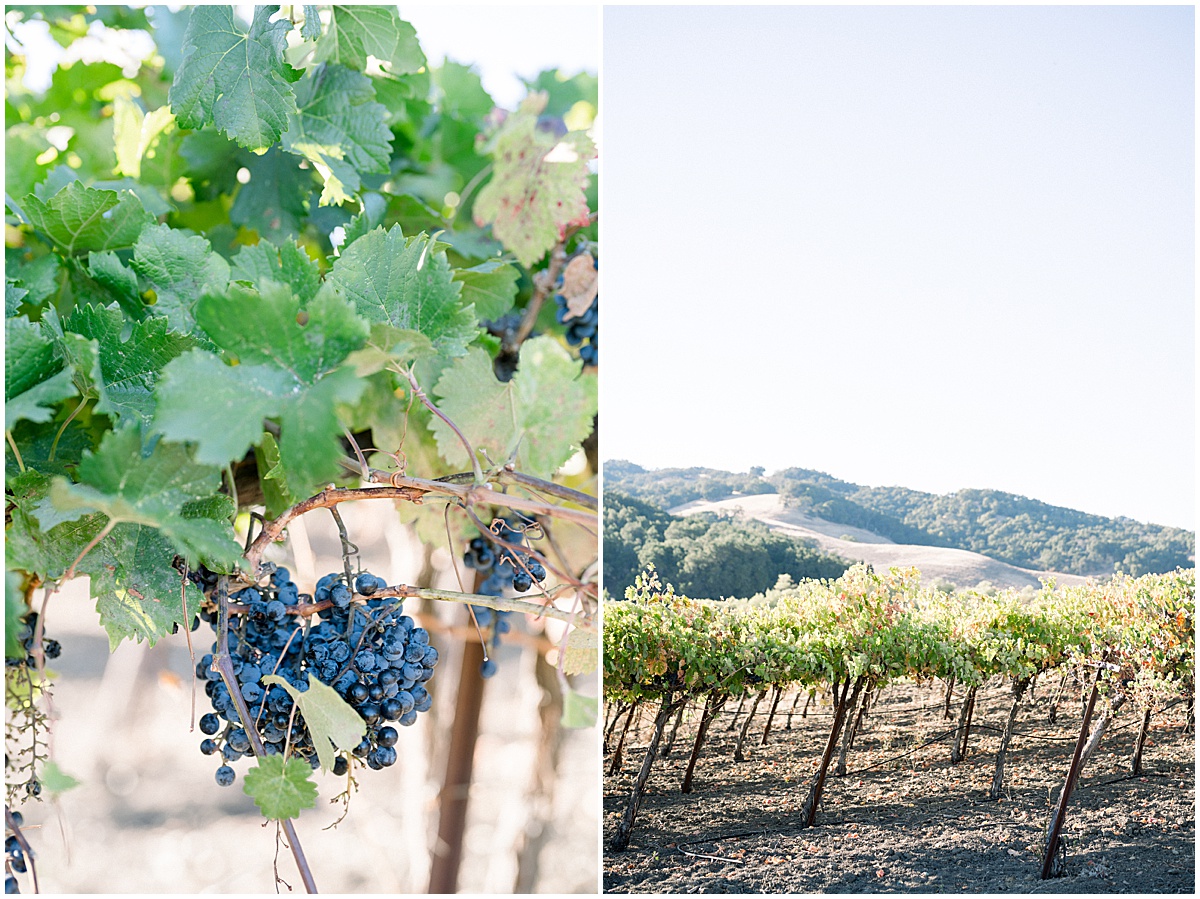 Hammersky Winery in Paso Robles Engagement Session