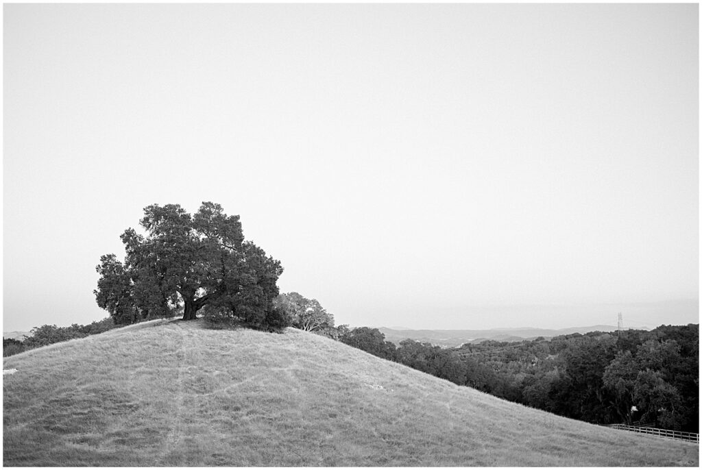 Central Coast California Engagement Session Photographer