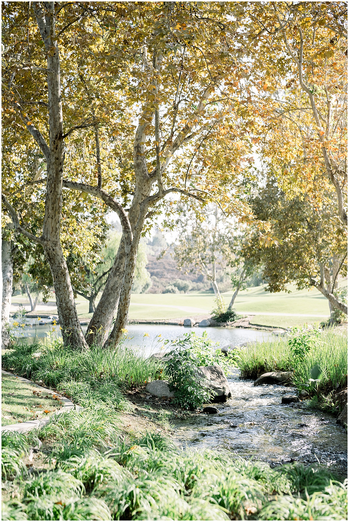 Southern California Wedding Photographer & Engagement Sessions